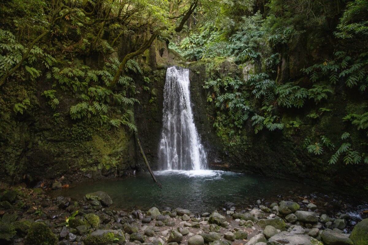 A waterfall cascading into a natural pool surrounded by lush greenery